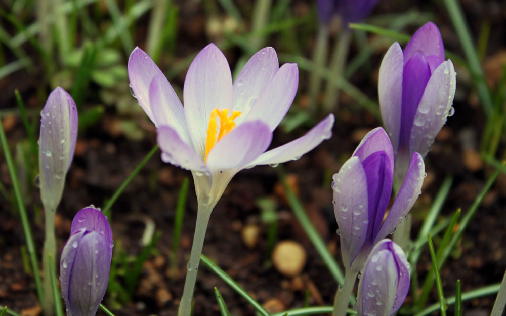 Read more about the article Reasons to try meditation
