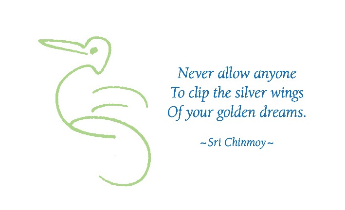 never-allow-anyone-to-clip-silver0wings-dreams